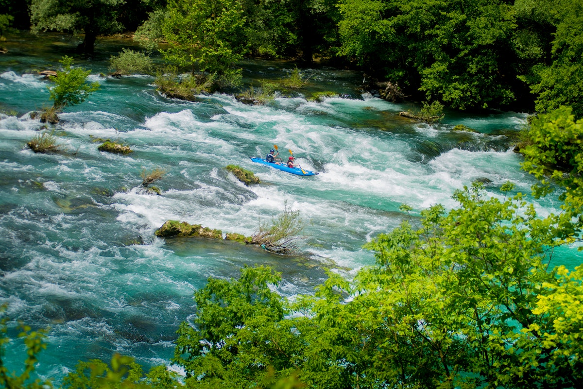 kayak safari