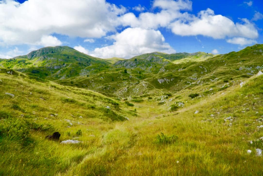 34-Endless-Fields-on-the-Via-Dinarica-Trail.jpg