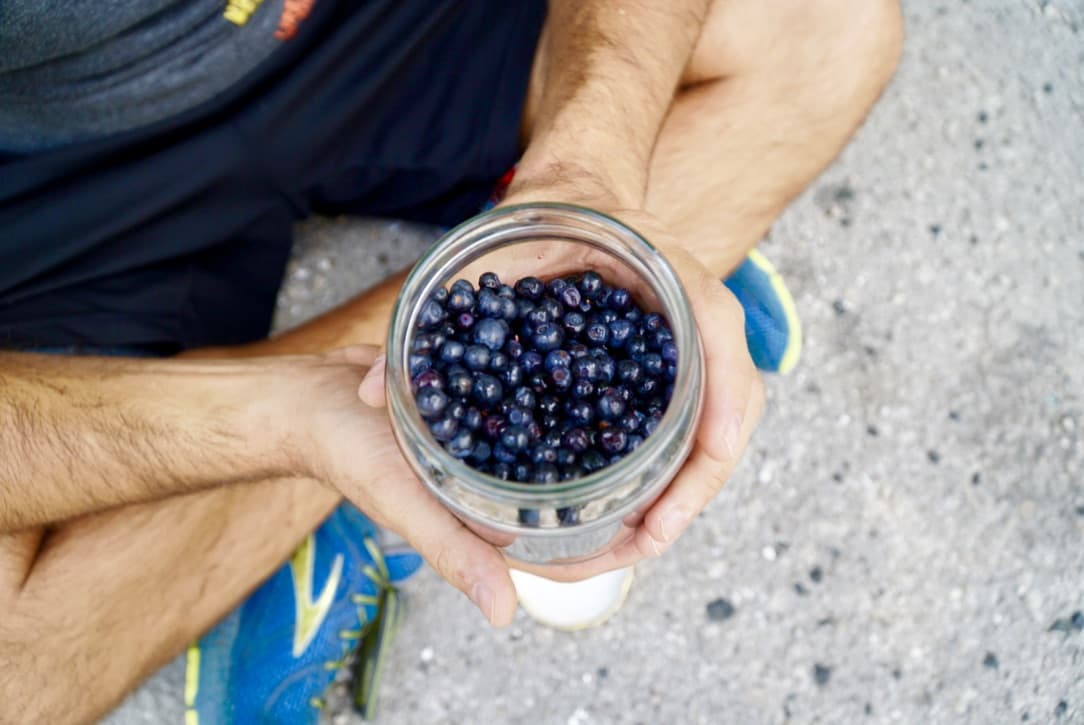 6-Bluberries-at-the-roadside.jpg