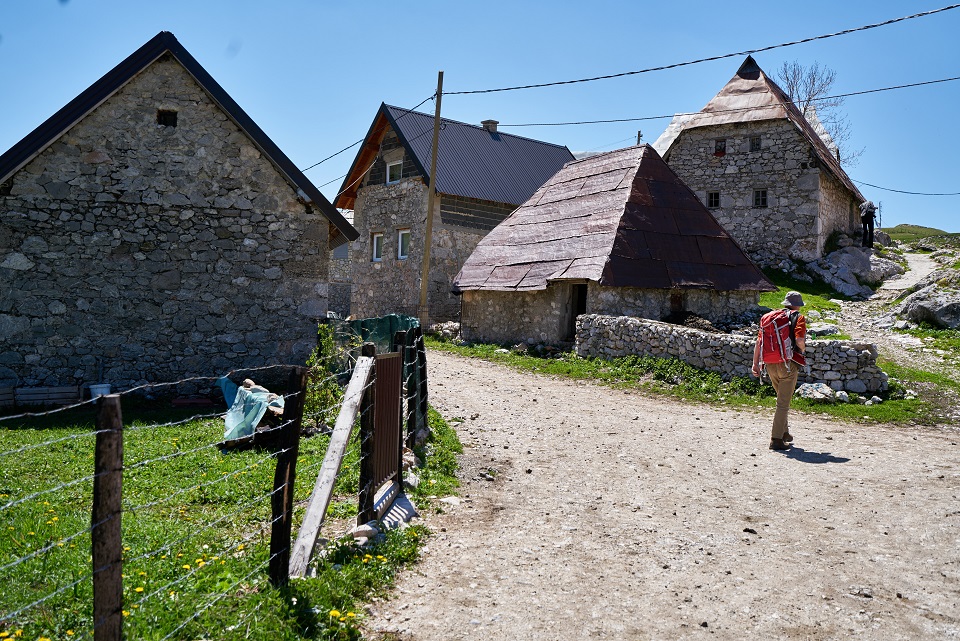 Jelenjača Lukomir Bubalo 2016 124