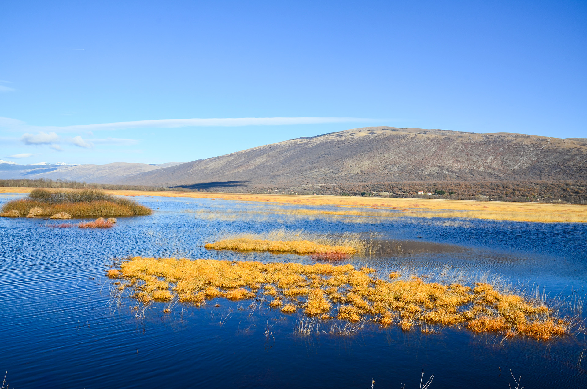 Livanjsko polje Livno Ajdin Kamber 