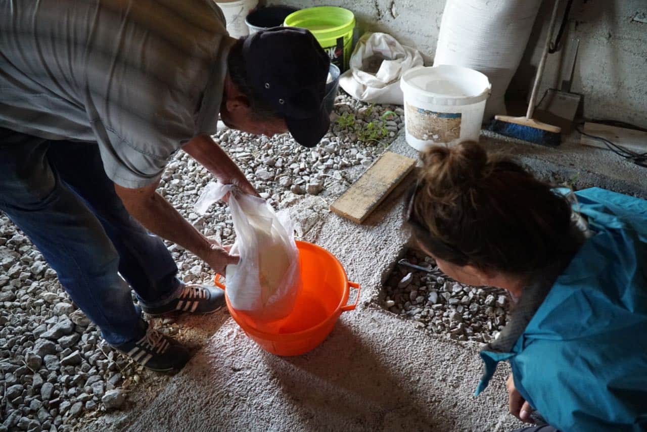 Mountainside-Cheesemaking-Lesson.jpg