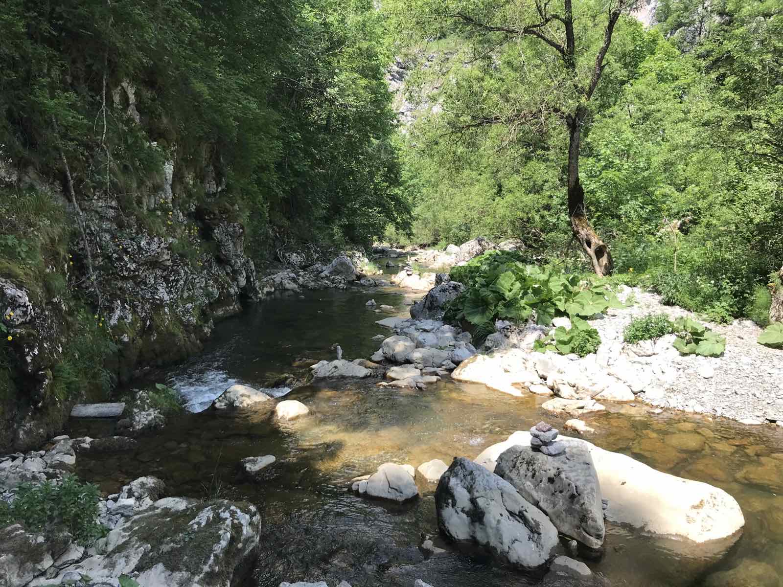 image0 1