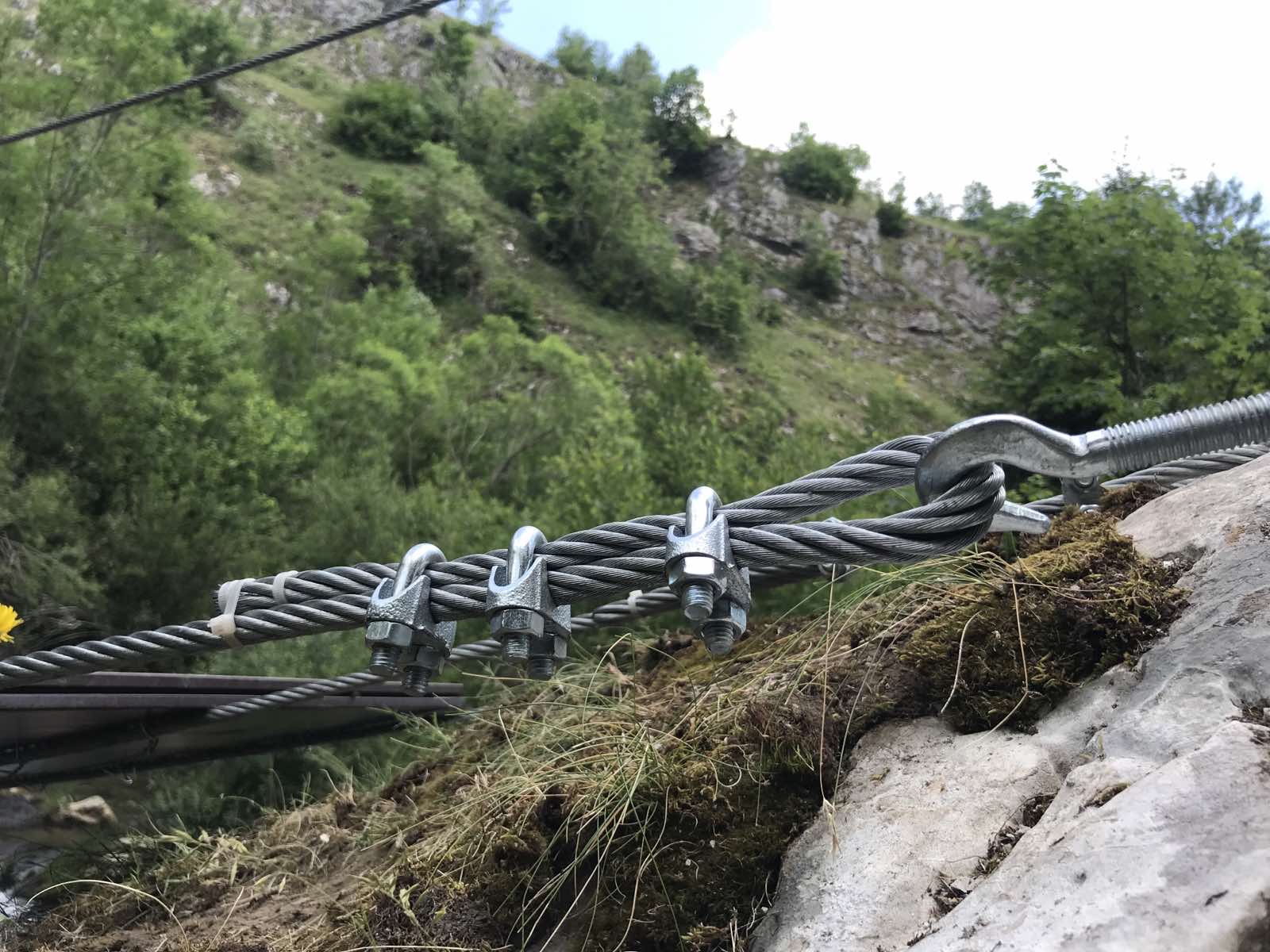 image1 1
