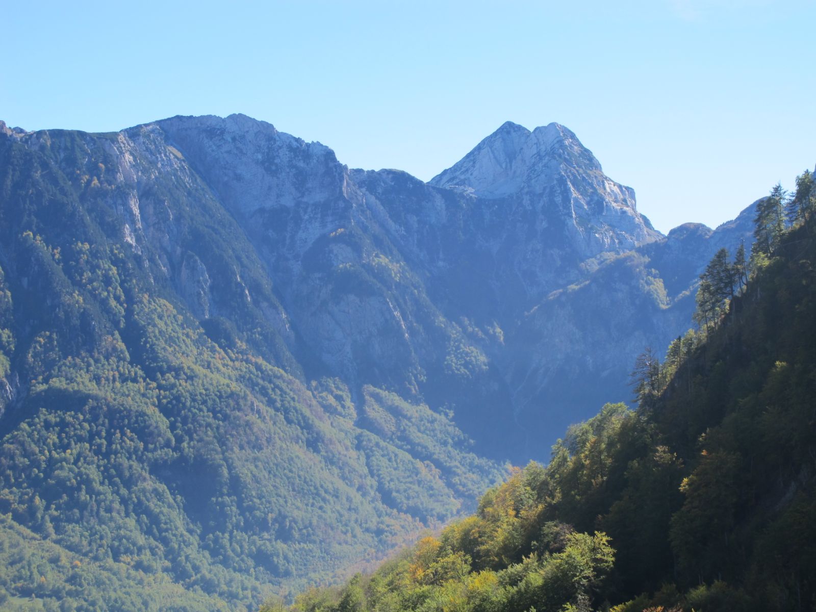 PRENJ: OSOBAC (2024 m)